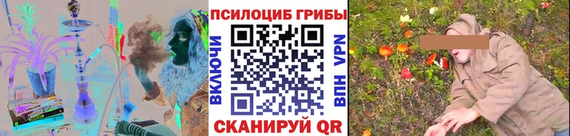 дарк нет формула  Нефтеюганск  Псилоцибиновые грибы Psilocybe 