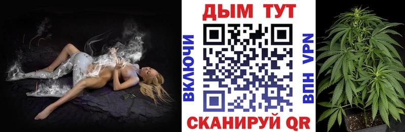 Канабис сатива Нефтеюганск